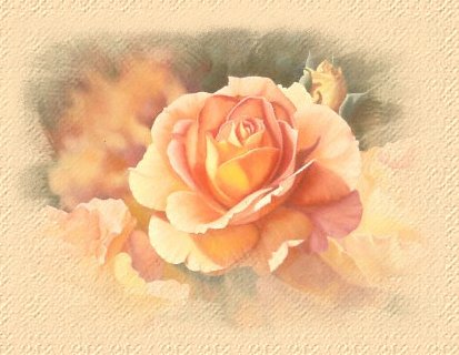Une rose nous parle